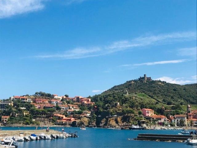 Villa Confort Et Cosy 20 Minutes D'Espagne Plage dʼArgelès Exteriér fotografie